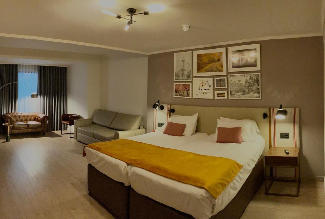 Superior King Room Sofa Bed,1709502138:JPEG